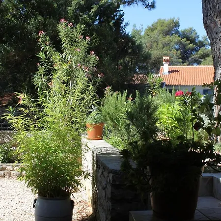 With Parking Space Artatore, Losinj - 8087 Čunski