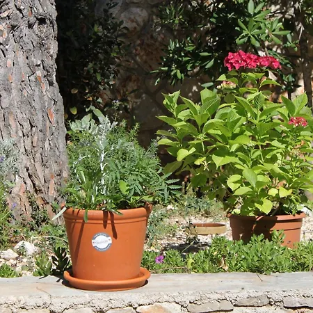 With Parking Space Artatore, Losinj - 8087 Lägenhet